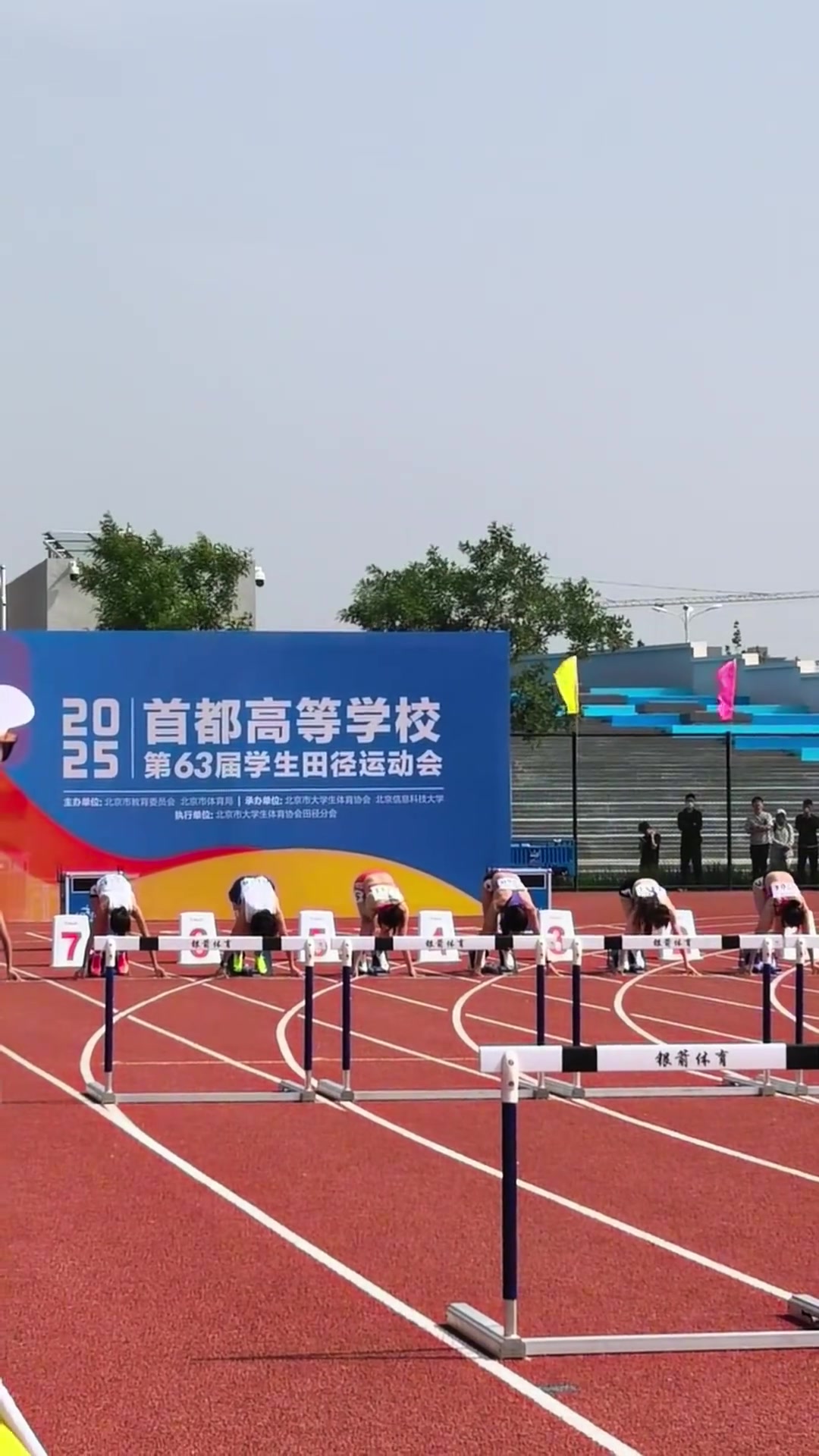 jinnianhui金年会13